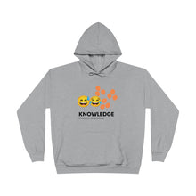 Load image into Gallery viewer, Unisex EcoSmart® Pullover Hoodie Sweatshirt
