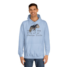 Load image into Gallery viewer, Unisex College Hoodie
