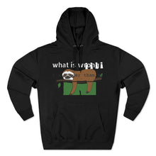 Load image into Gallery viewer, Unisex Premium Pullover Hoodie
