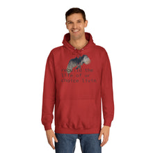 Load image into Gallery viewer, Unisex College Hoodie
