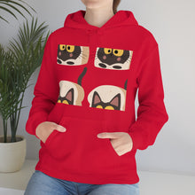 Load image into Gallery viewer, Unisex Heavy Blend™ Hooded Sweatshirt
