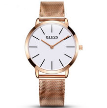 Charger l&#39;image dans la galerie, Steel Mesh Quartz watch
