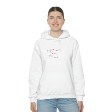 Charger l&#39;image dans la galerie, Unisex Heavy Blend™ Hooded Sweatshirt
