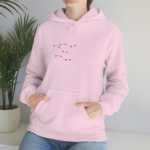 Load image into Gallery viewer, Unisex Heavy Blend™ Hooded Sweatshirt
