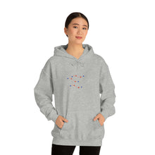 Load image into Gallery viewer, Unisex Heavy Blend™ Hooded Sweatshirt
