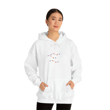 Load image into Gallery viewer, Unisex Heavy Blend™ Hooded Sweatshirt
